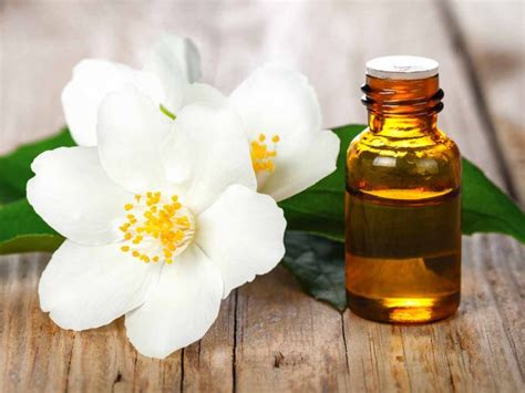 OILS: Jasmine .